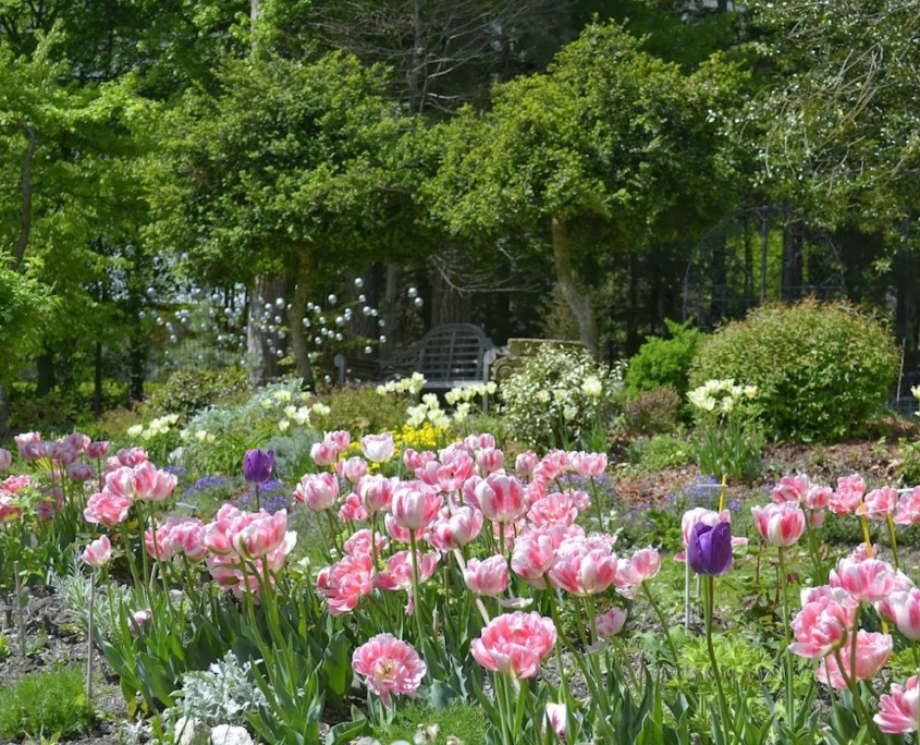 Jardin fleurie du Château des Allues (Saint Pierre D'Albigny, Savoie)