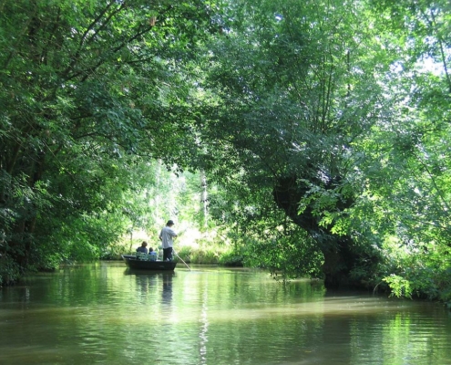 Marais Poitevin