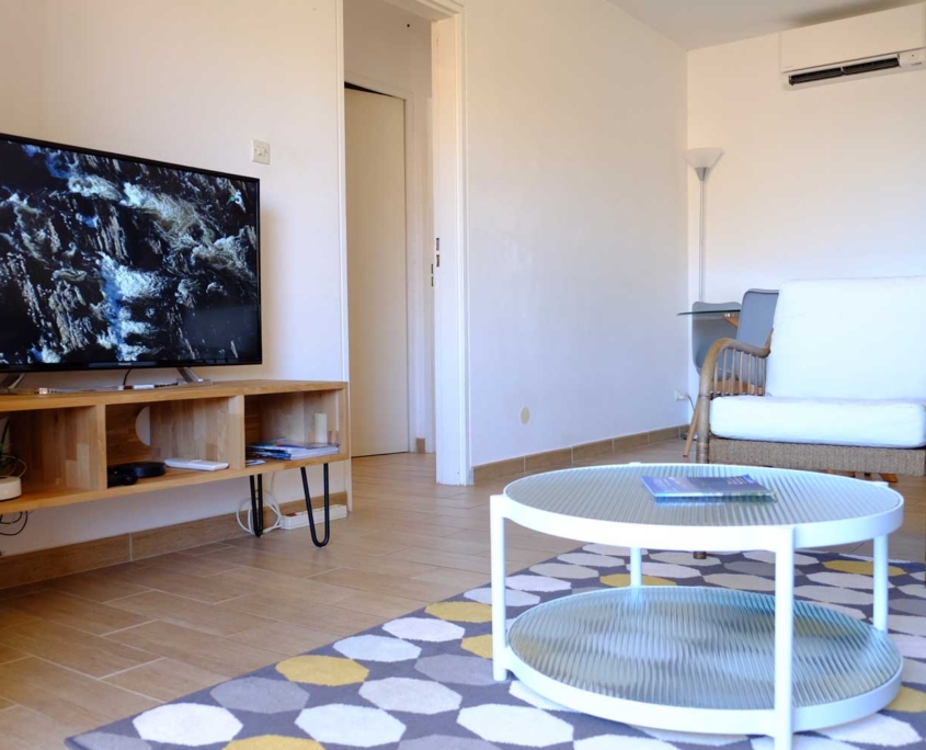 Coin salon TV de l'appartement de vacances (Saint Mandrier près de Toulon)