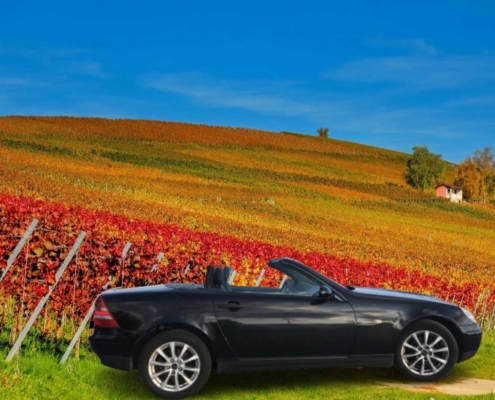 Vignoble de Juliénas (Château des Janroux, Juliénas)