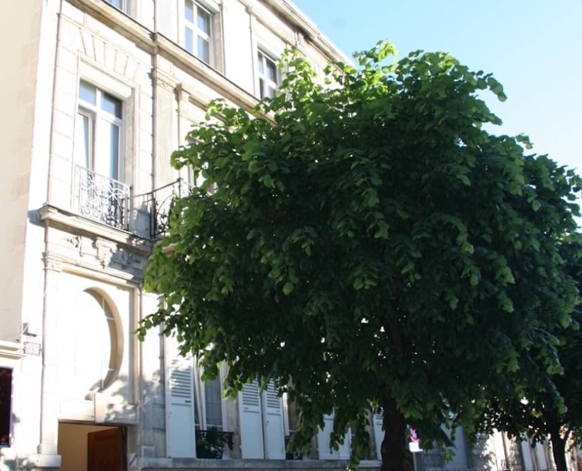 Façade de la Demeure des Sacres, maison d'hôtes de charme à Reims, rue Libergier